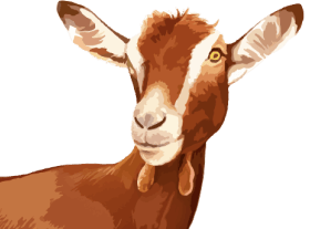 Chèvre
